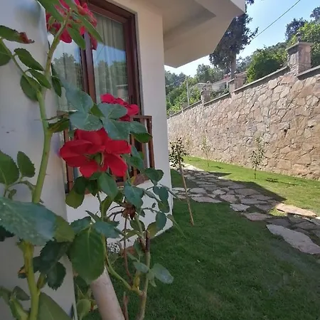 Akcapinar Korfez Butik Ξενοδοχείο *