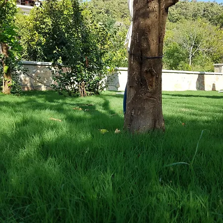 Ξενοδοχείο Akcapinar Korfez Butik